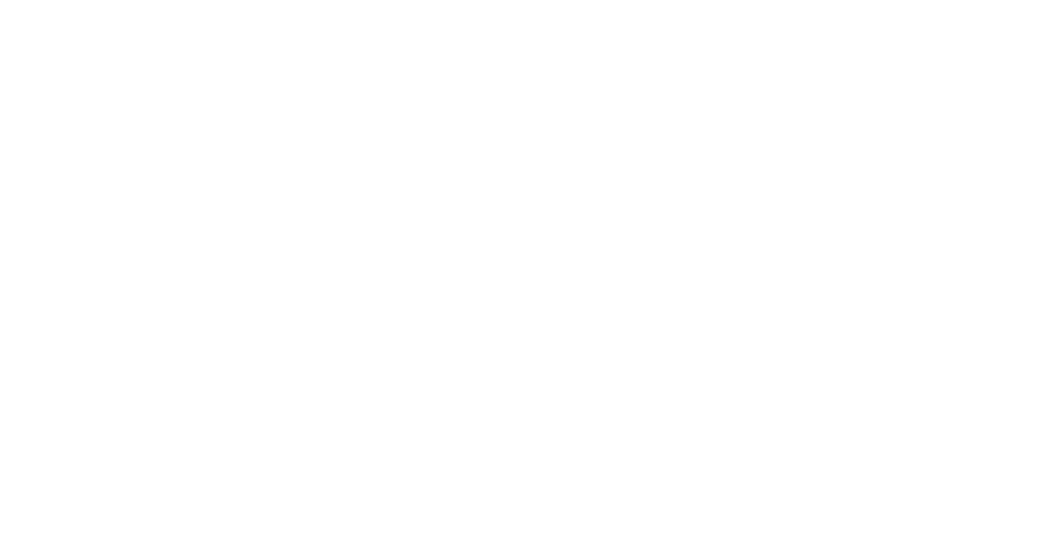 Newsic Logo